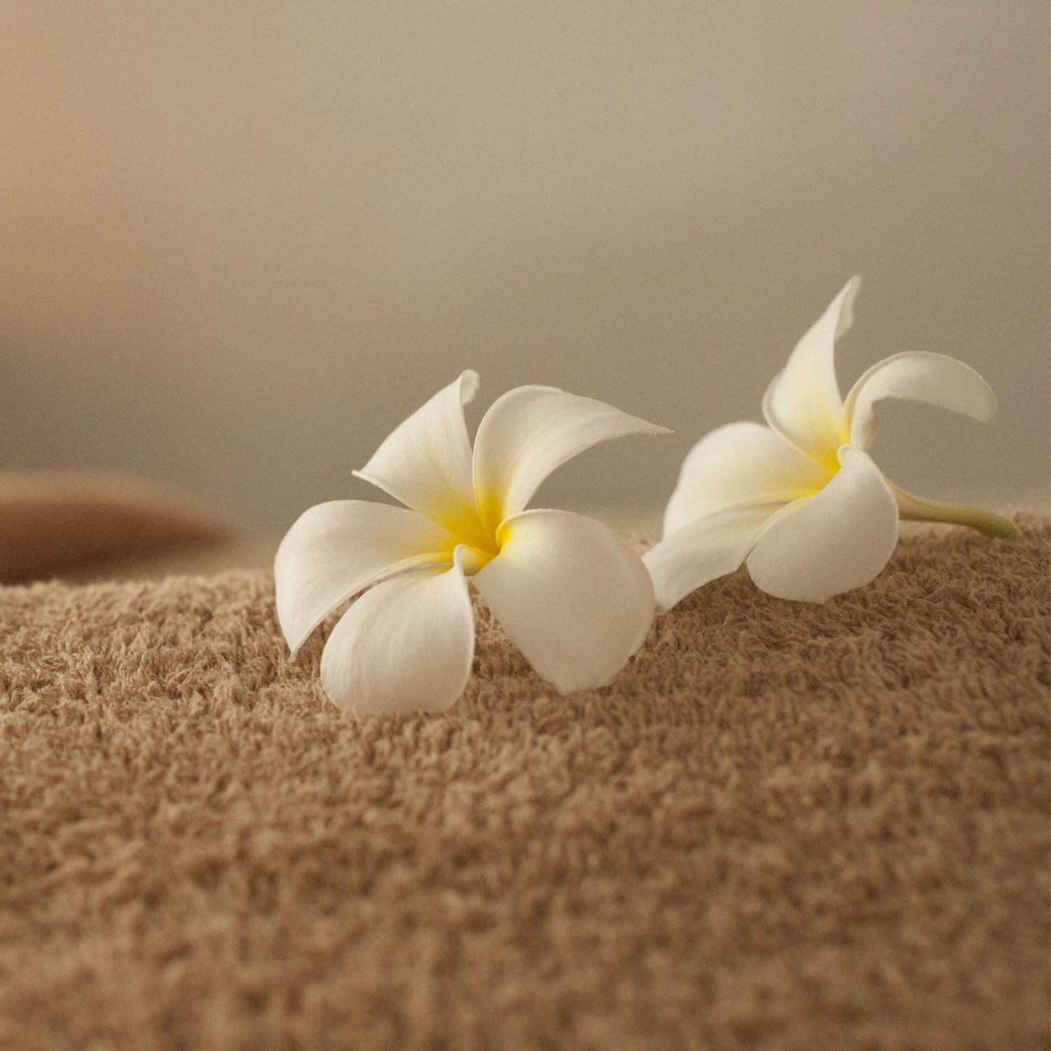 flowers on massage therapy couch