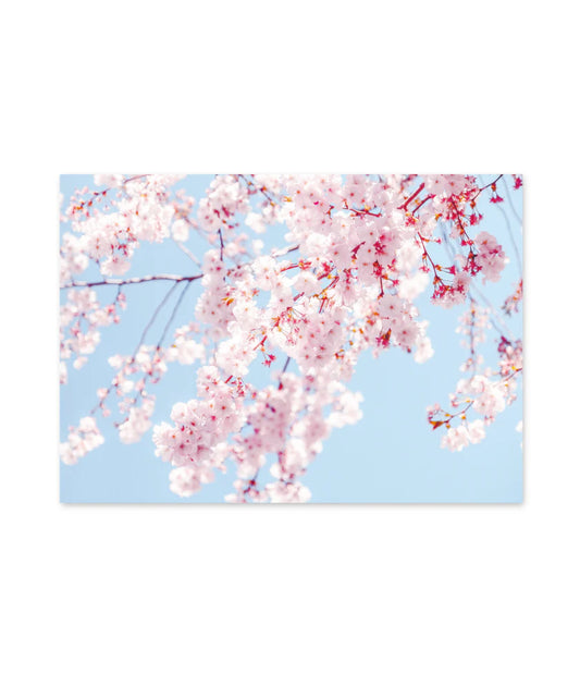 Gift Voucher £20